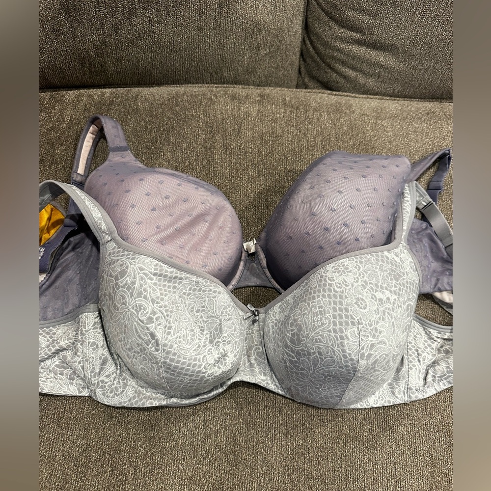 Cacique bra bundle 44D